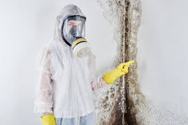 Mold Documentation for Insurance Claims in Sands Point, NY